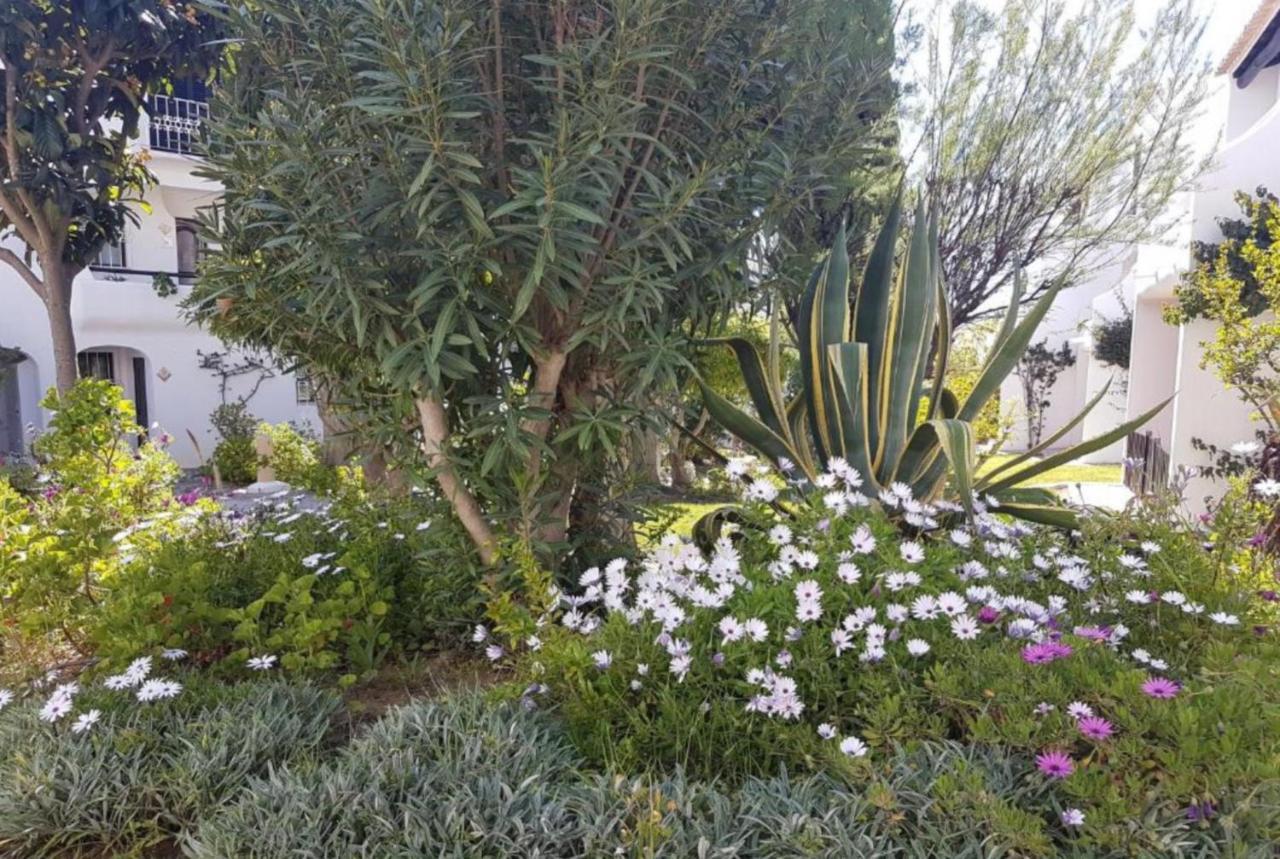 Apartment Sao Rafael Holidays Albufeira Zewnętrze zdjęcie